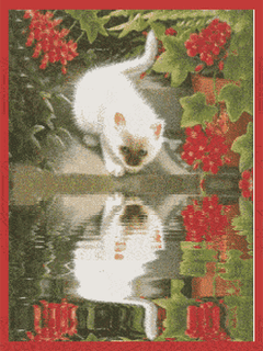 Animal Screensavers 0056